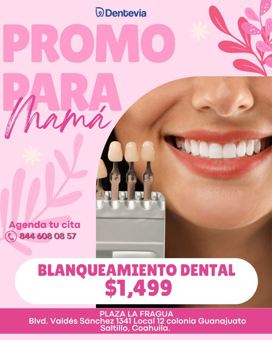 Dentevia - Endodoncias $1800